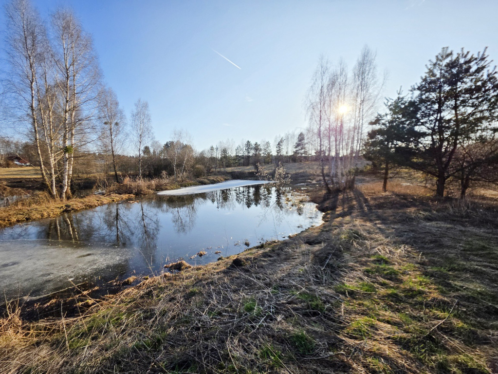 Wyjątkowa działka w Worlinach — zdjęcie 4