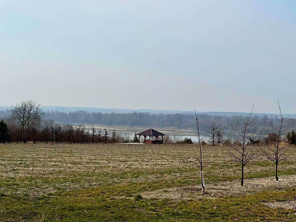 Działka usługowo-budowlana 5000m2 Kaliszany kol. — zdjęcie 6
