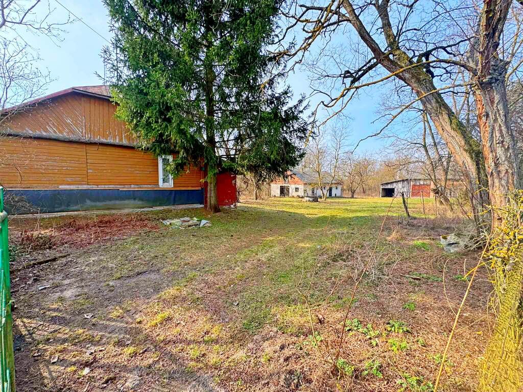 Działka usługowo-budowlana 5000m2 Kaliszany kol. — zdjęcie 3