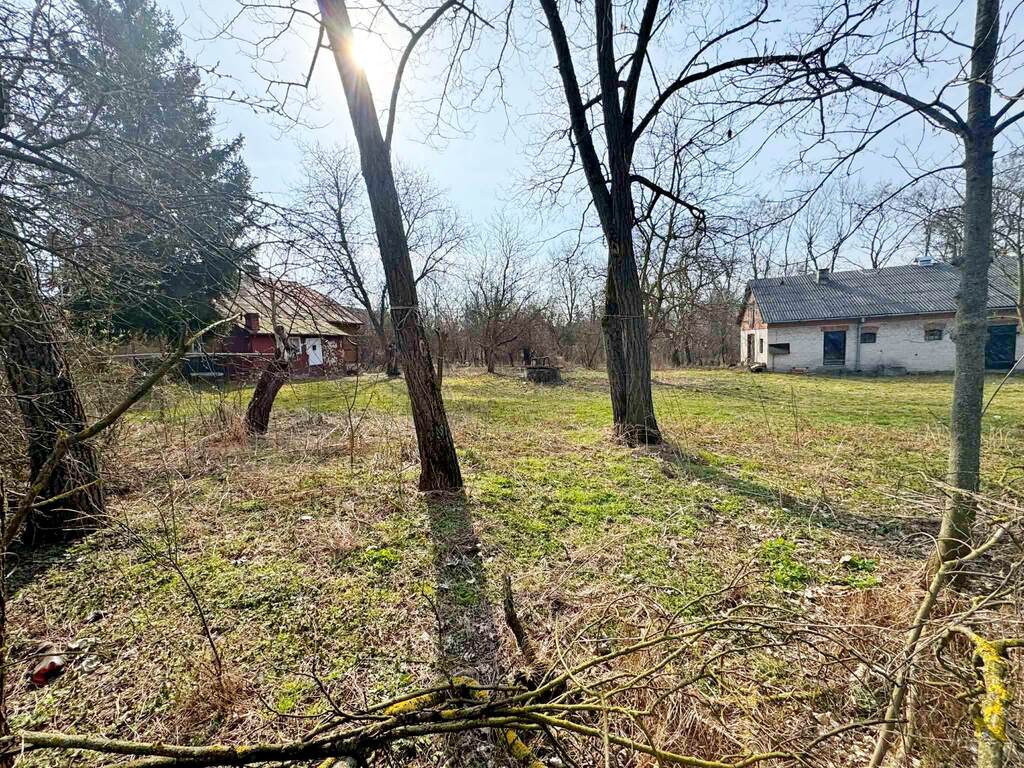 Działka usługowo-budowlana 5000m2 Kaliszany kol. — zdjęcie 4