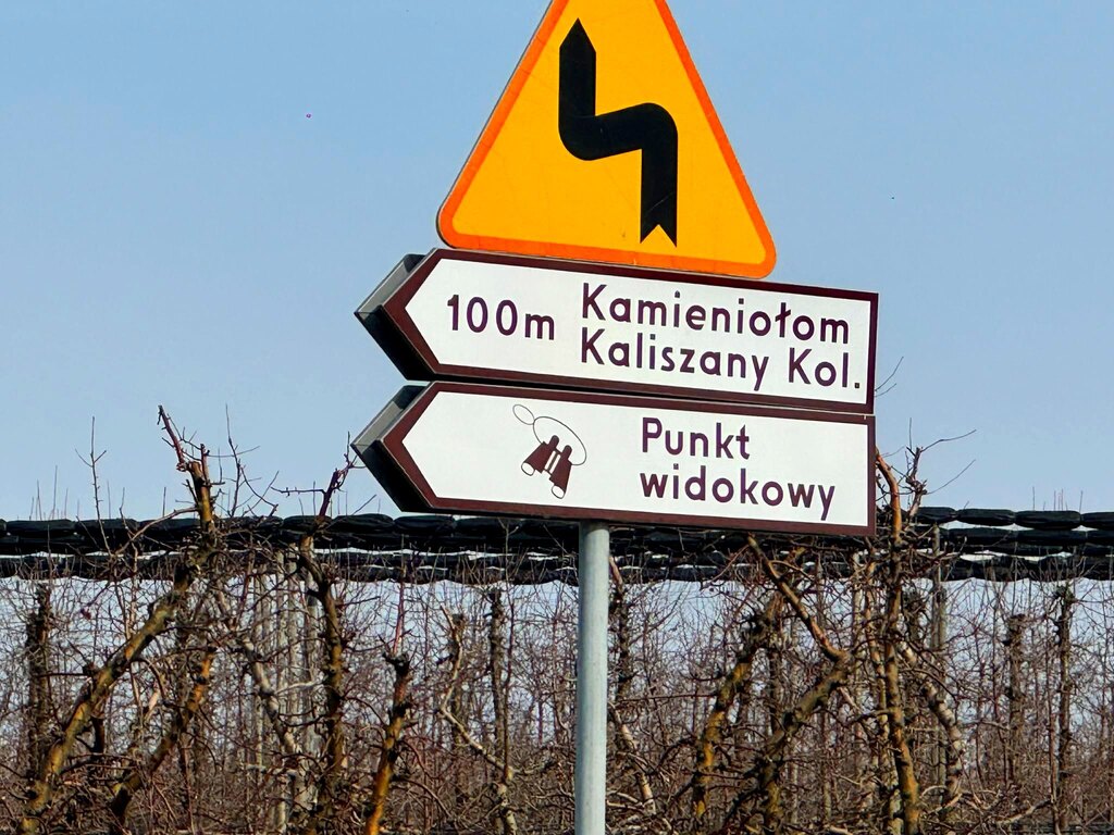 Działka usługowo-budowlana 5000m2 Kaliszany kol. — zdjęcie 8