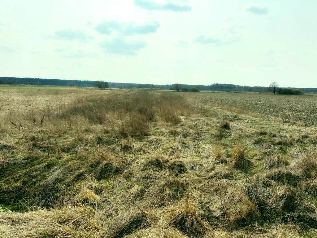 Na sprzedaz działka  rolna gm Baranów 3562 m2