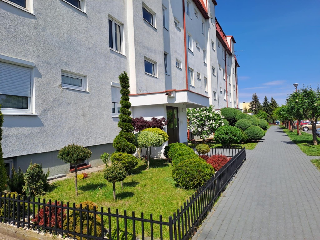 Mieszkanie 3 pokoje 45m2 Skierniewice Kopernika — zdjęcie 14