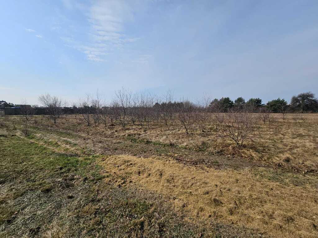Działka 1500m² Stare Załubice | MPZP i Usługi