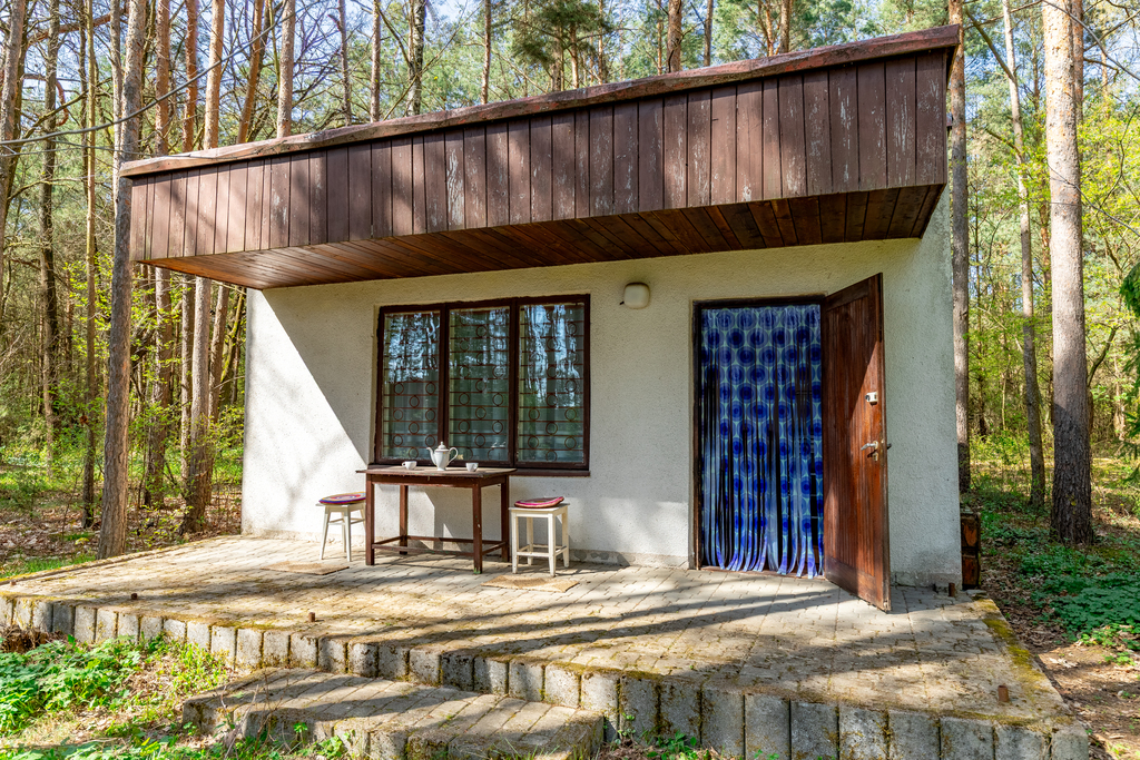 Domek w lesie | działka 1527 m² | powiat łask — zdjęcie 4