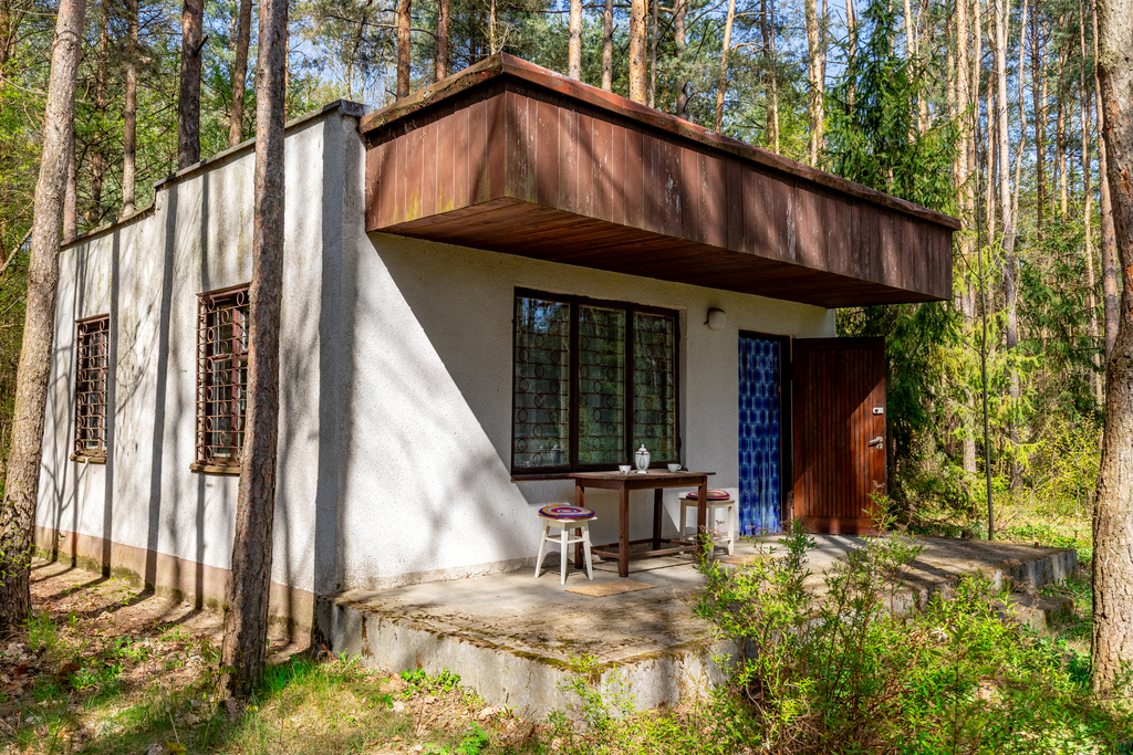 Domek w lesie | działka 1527 m² | powiat łask — zdjęcie 3
