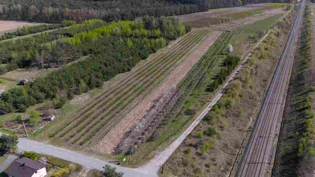 Gospodarstwo sadownicze 6,86 ha Franciszków — zdjęcie 5