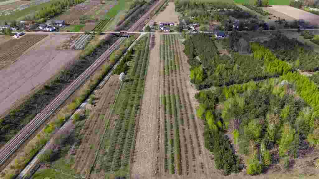 Gospodarstwo sadownicze 6,86 ha Franciszków — zdjęcie 4