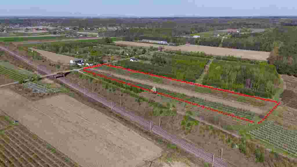 Gospodarstwo sadownicze 6,86 ha Franciszków — zdjęcie 3