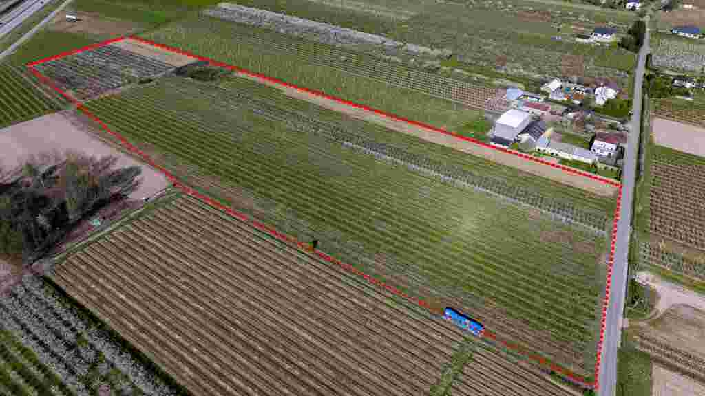 Gospodarstwo sadownicze 6,86 ha Franciszków — zdjęcie 7