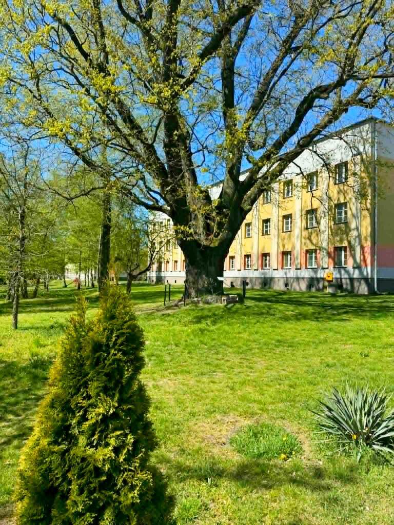 Dęblin 3 pokoje idealne dla inwestora pod wynajem