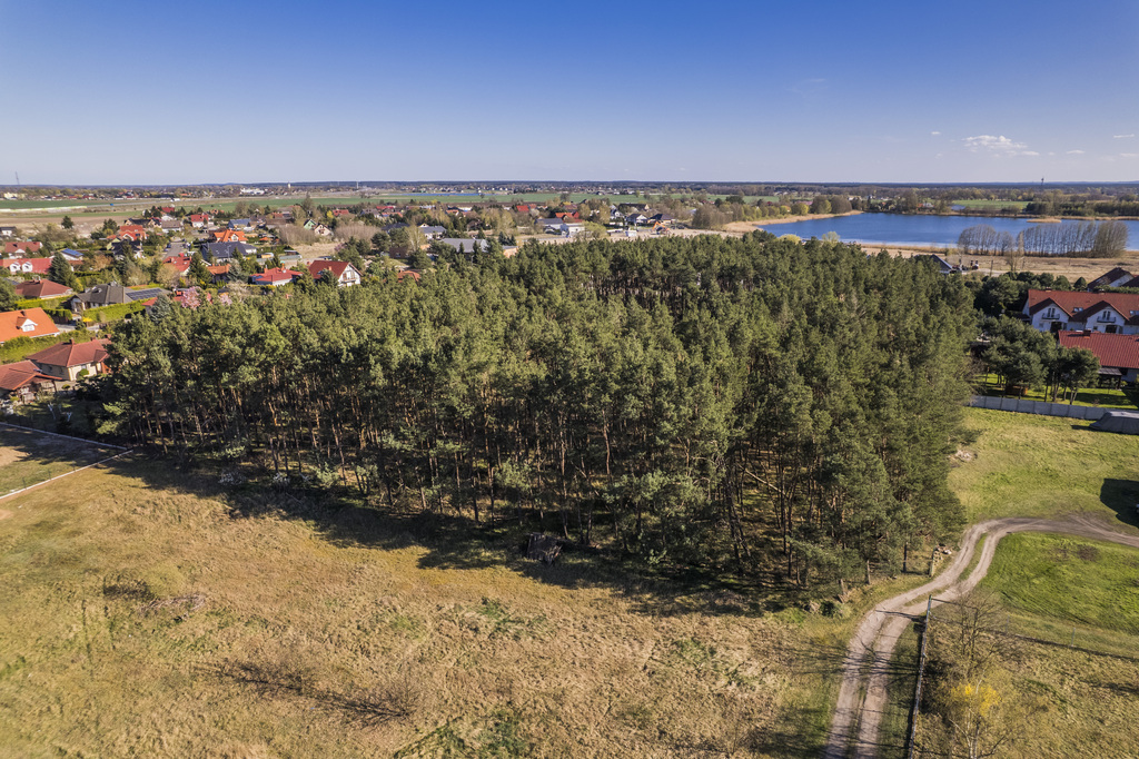 Wyjątkowa Działka w lesie, blisko jeziora — zdjęcie 7