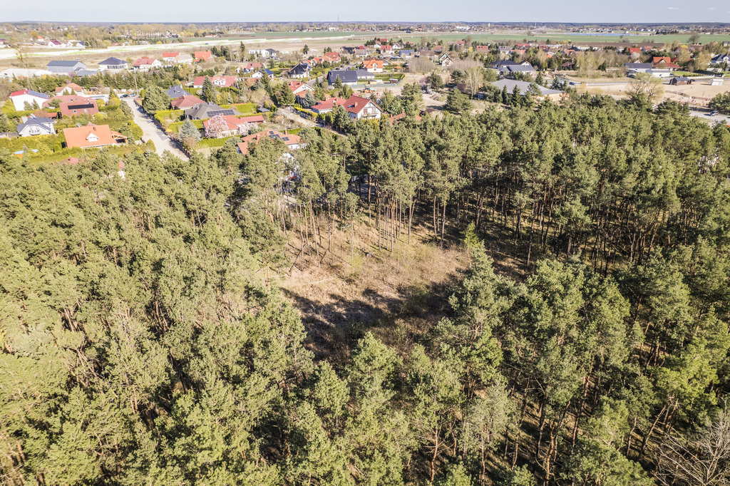 Wyjątkowa Działka w lesie, blisko jeziora — zdjęcie 10