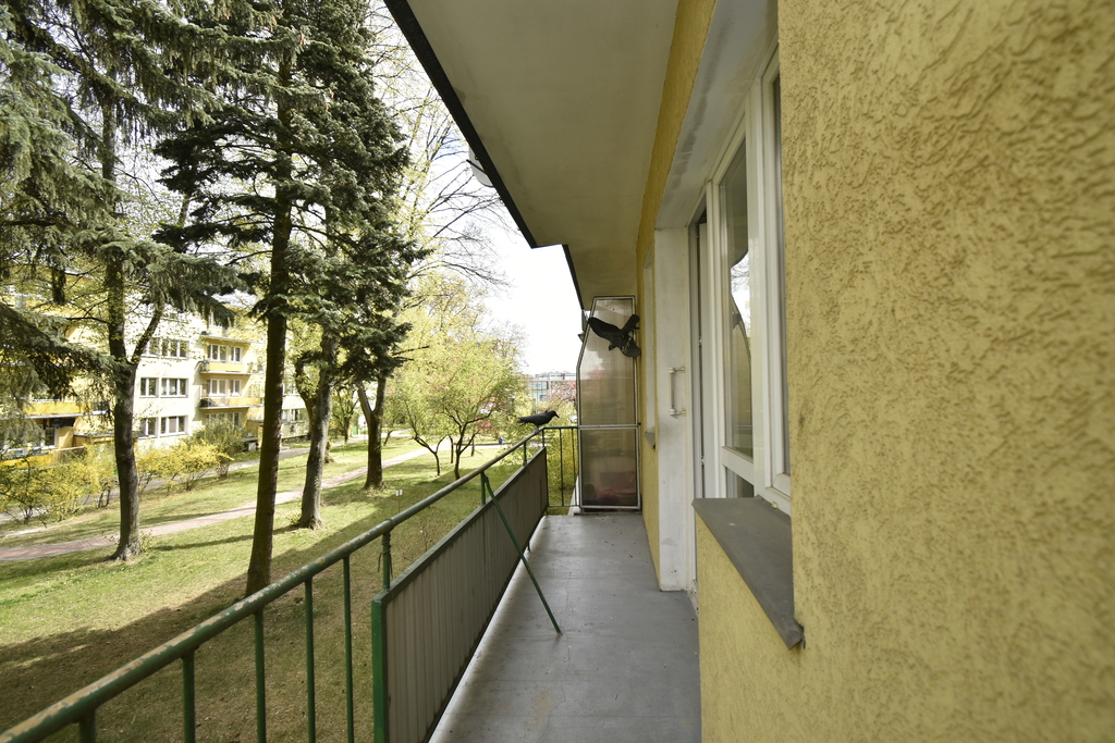 Kawalerka w atrakcyjnej lokalizacji — zdjęcie 4