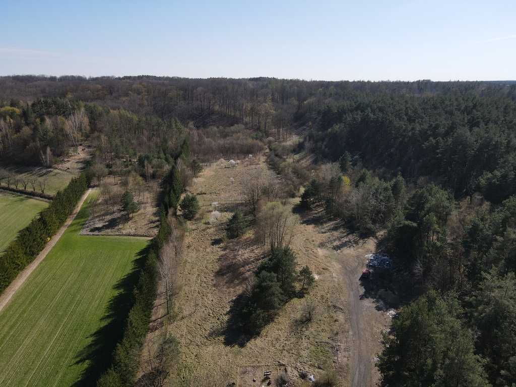 Działka 1,89 ha z Warunkami Zabudowy — zdjęcie 3