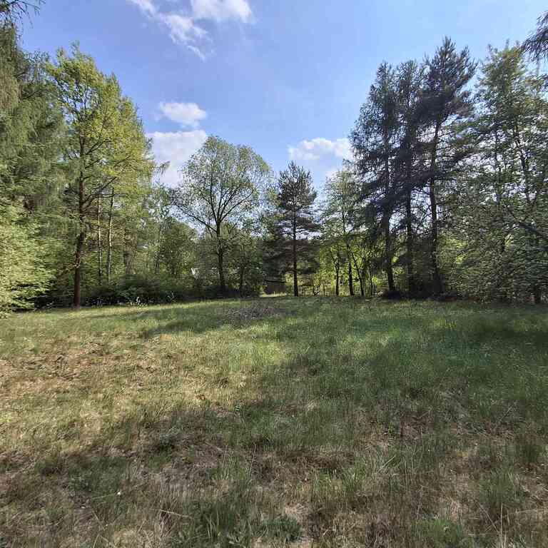 Zielona enklawa pod dom całoroczny blisko Warszawy