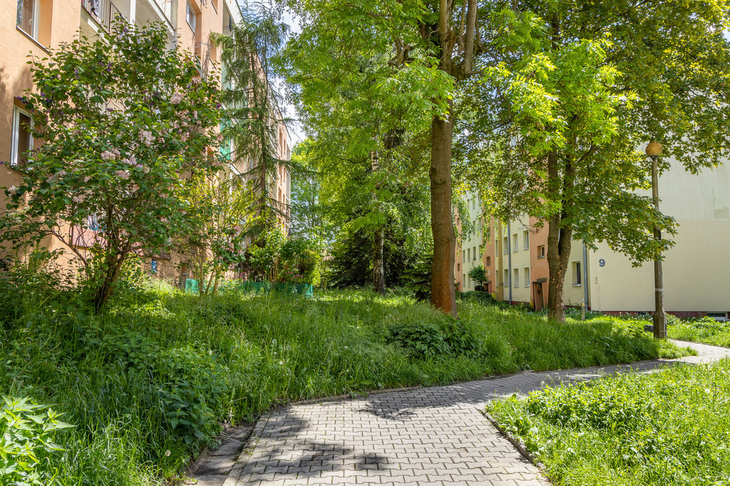 2 pokoje z loggią i klimatyzacją — zdjęcie 29