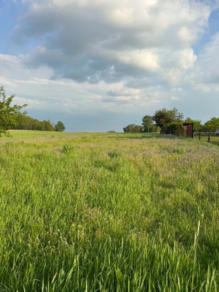 Działka bud.pod Garwolinem 1200 m2 — zdjęcie 4