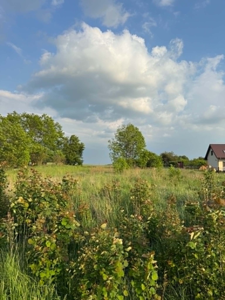 Działka bud.pod Garwolinem 1200 m2 — zdjęcie 3