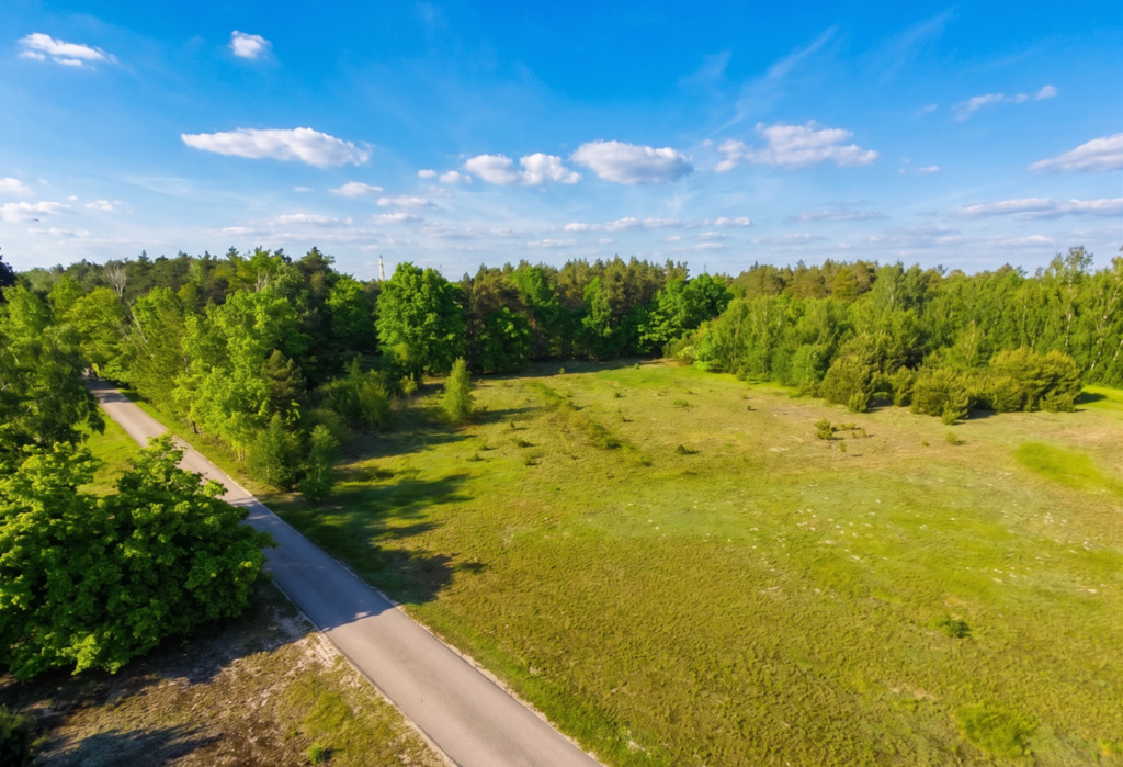Wyjątkowa działka z prywatnym lasem – gm.Szczerców