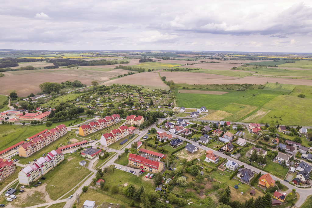 Działka w Cedyni 5,36ha z warunkami zabudowy — zdjęcie 3