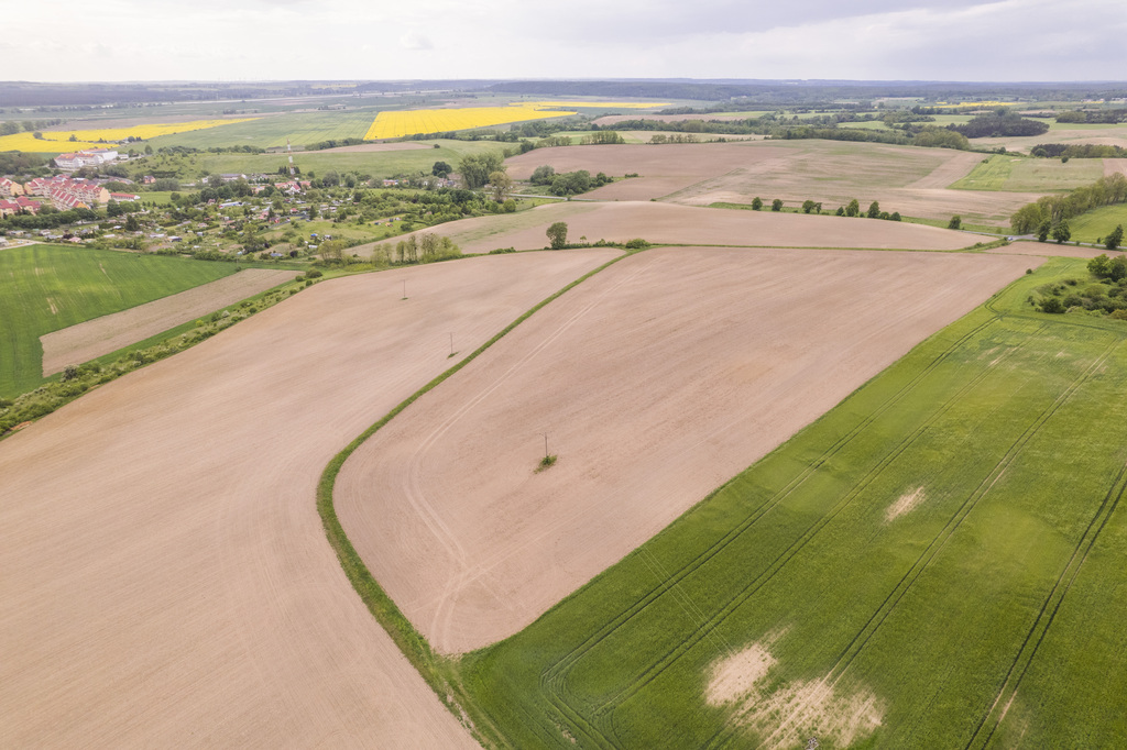 Działka w Cedyni 5,36ha z warunkami zabudowy — zdjęcie 2