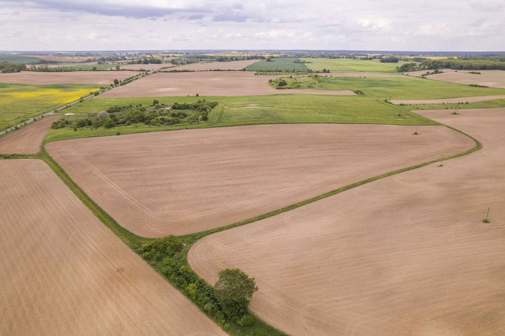 Działka w Cedyni 5,36ha z warunkami zabudowy