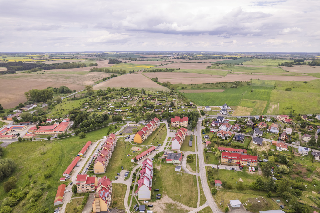 Działka w Cedyni 5,36ha z warunkami zabudowy — zdjęcie 4