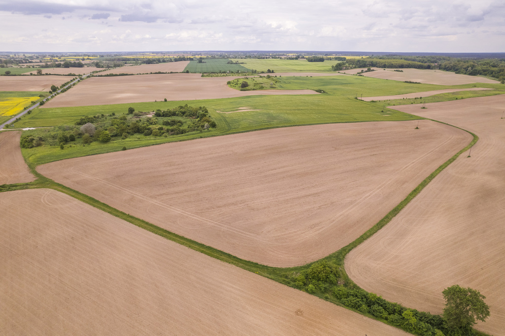 Działka w Cedyni 5,36ha z warunkami zabudowy — zdjęcie 5