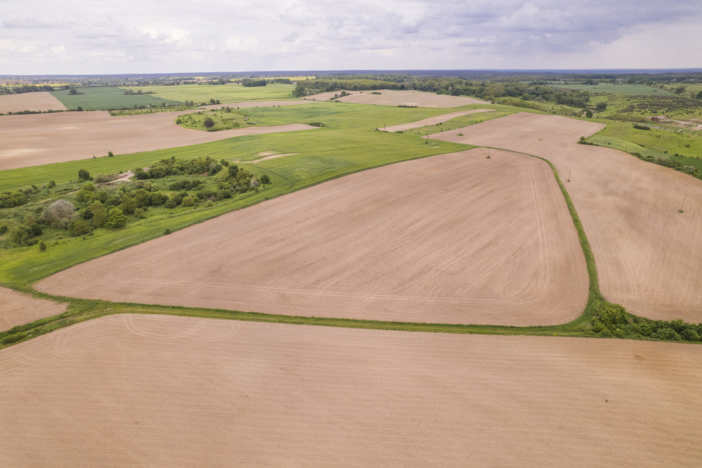 Działka w Cedyni 5,36ha z warunkami zabudowy — zdjęcie 6