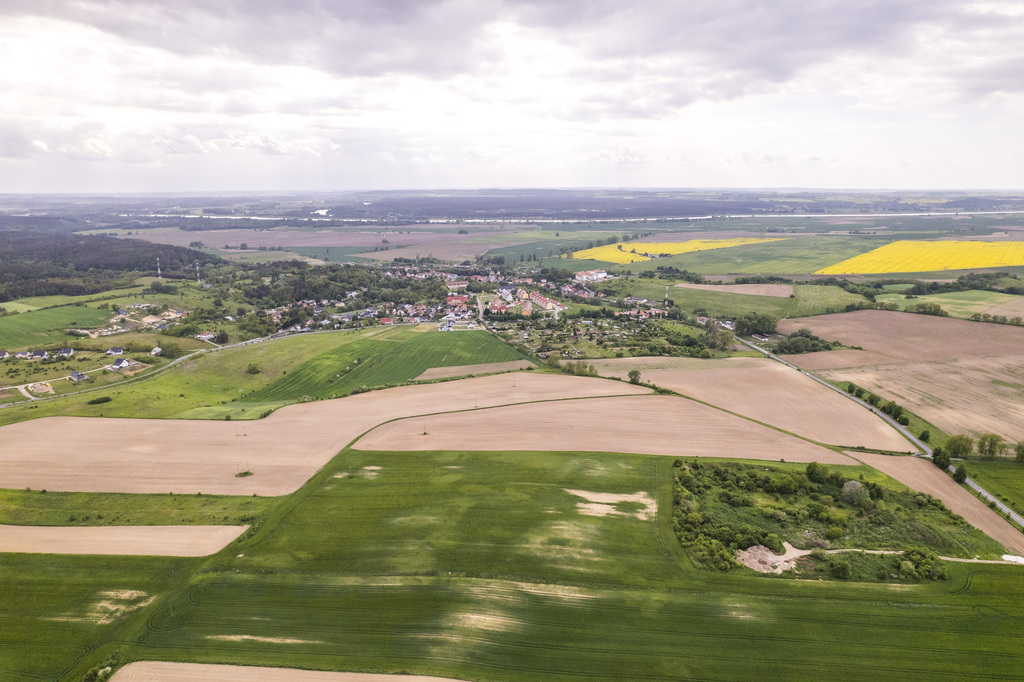 Działka w Cedyni 5,36ha z warunkami zabudowy — zdjęcie 7