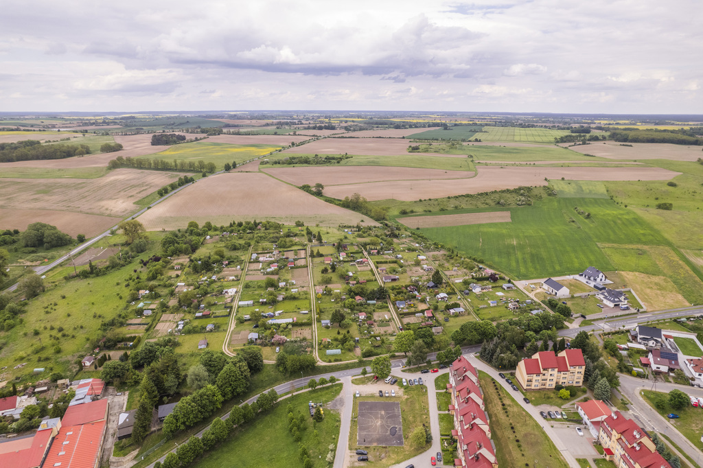 Działka w Cedyni 5,36ha z warunkami zabudowy — zdjęcie 8