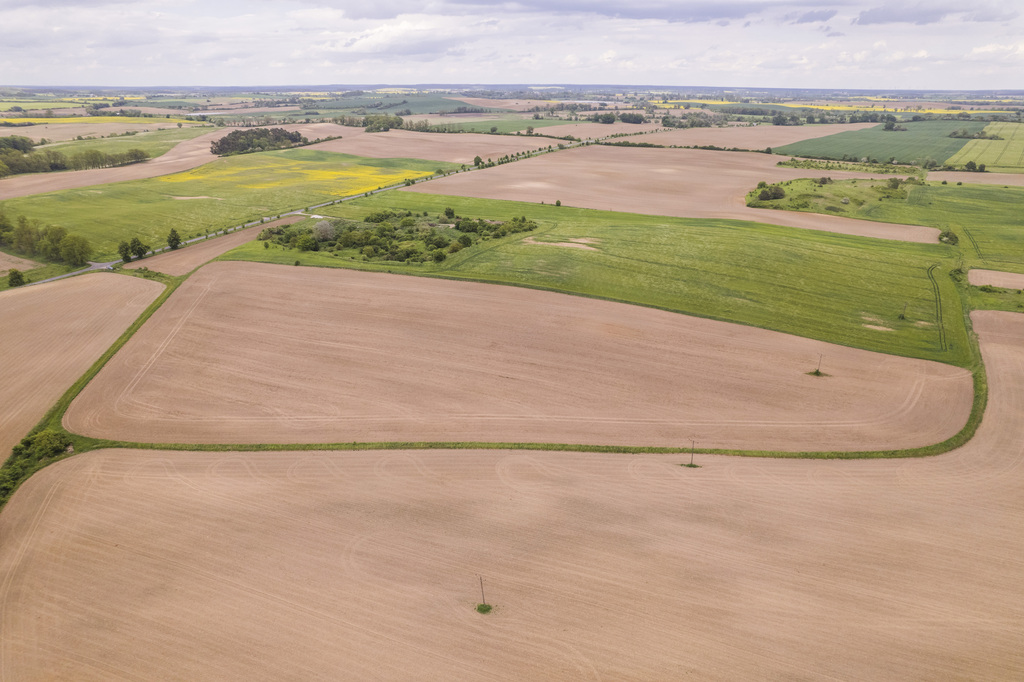 Działka w Cedyni 5,36ha z warunkami zabudowy — zdjęcie 9