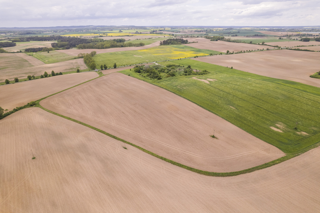 Działka w Cedyni 5,36ha z warunkami zabudowy — zdjęcie 10