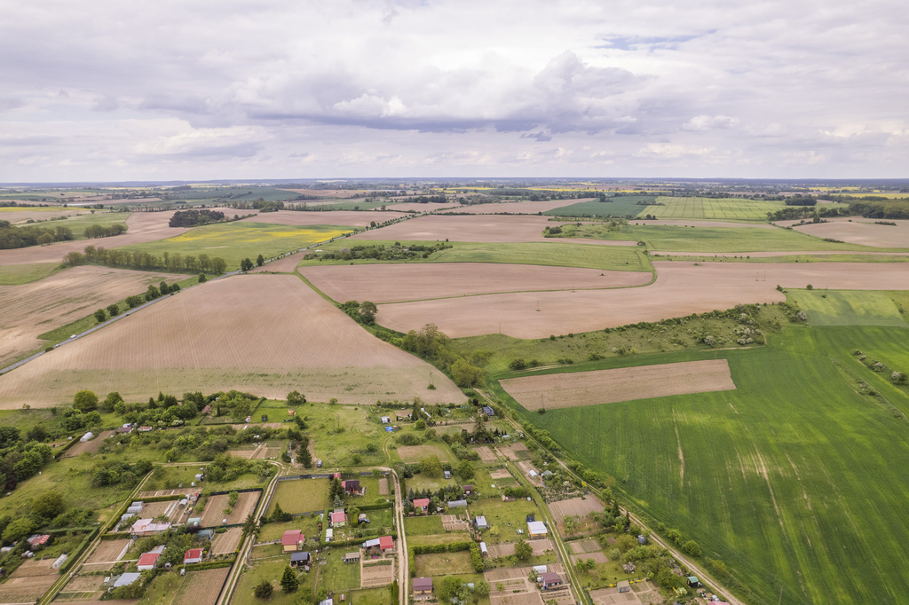 Działka w Cedyni 5,36ha z warunkami zabudowy — zdjęcie 11