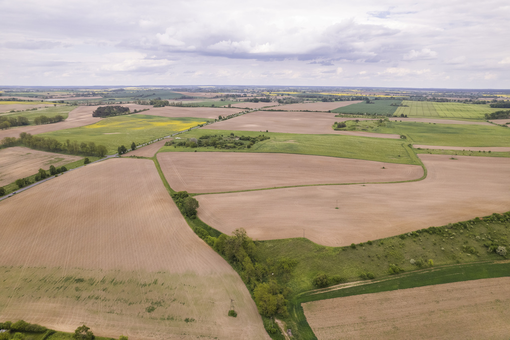 Działka w Cedyni 5,36ha z warunkami zabudowy — zdjęcie 12