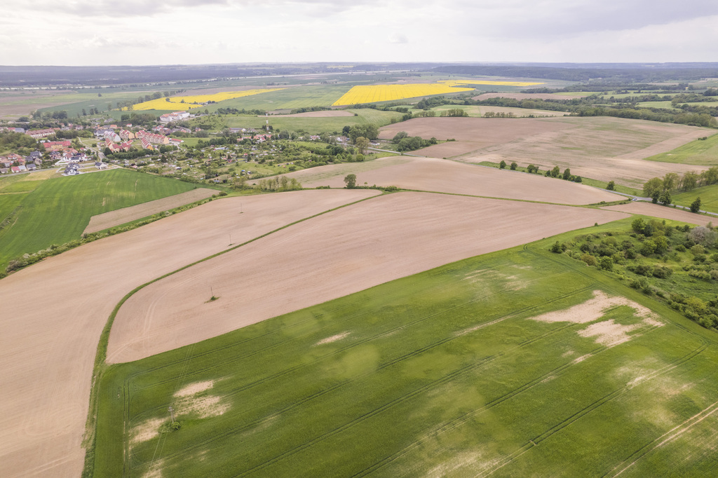 Działka w Cedyni 5,36ha z warunkami zabudowy — zdjęcie 13