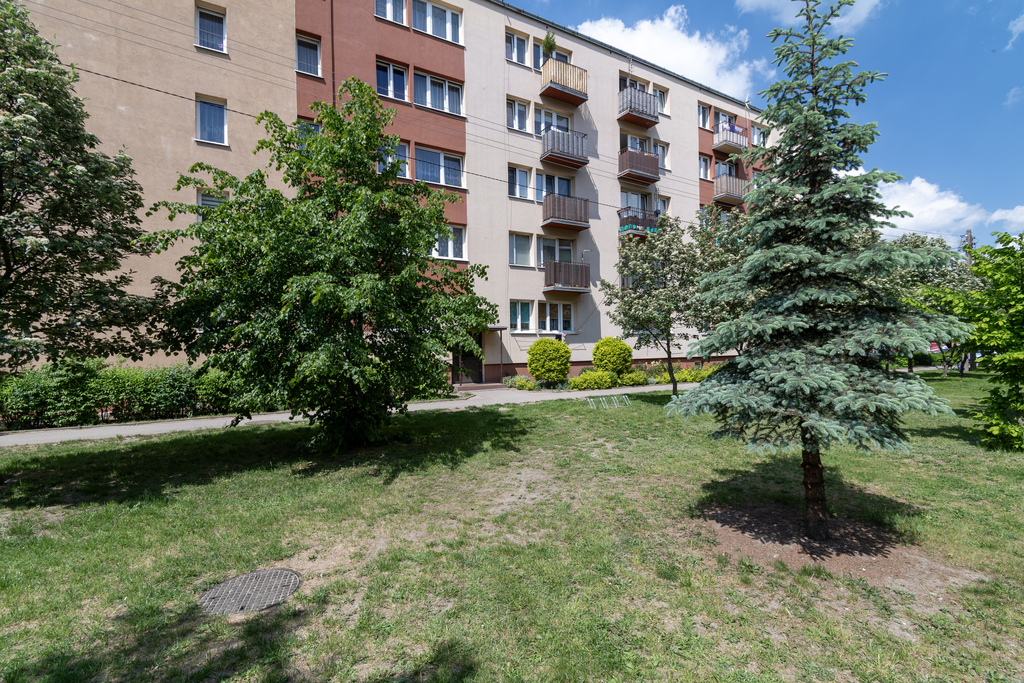 Kawalerka 29m w niskiej cenie — zdjęcie 4