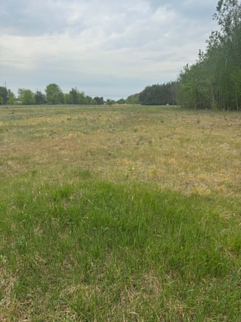 Działka 1661 m² z WZ – dom jed. Maciejowice