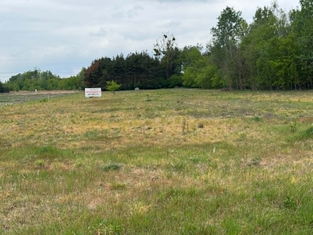 Działka 1661 m² z WZ – dom jed. Maciejowice — zdjęcie 4