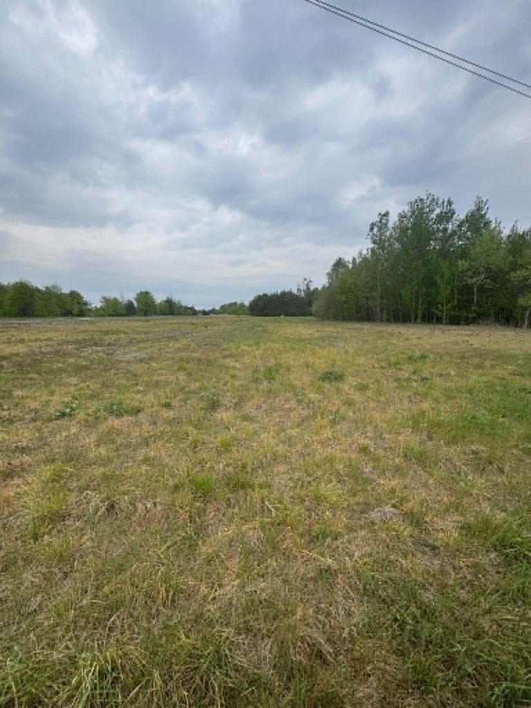 Działka 1661 m² z WZ – dom jed. Maciejowice — zdjęcie 5