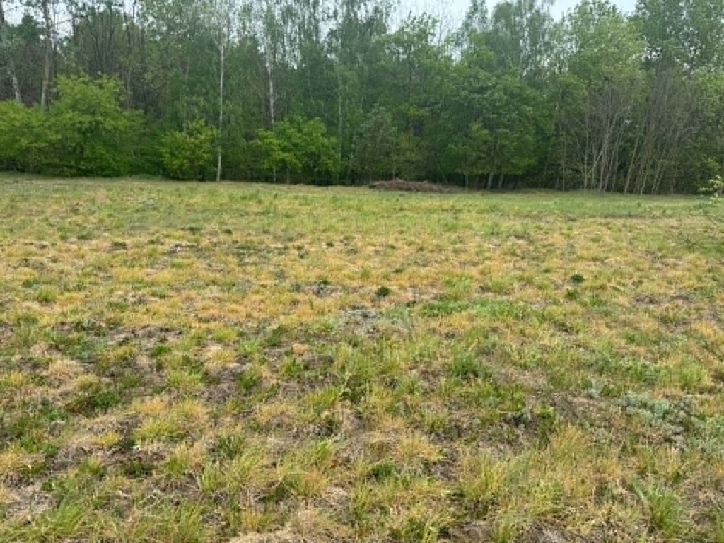 Działka 1661 m² z WZ – dom jed. Maciejowice — zdjęcie 3