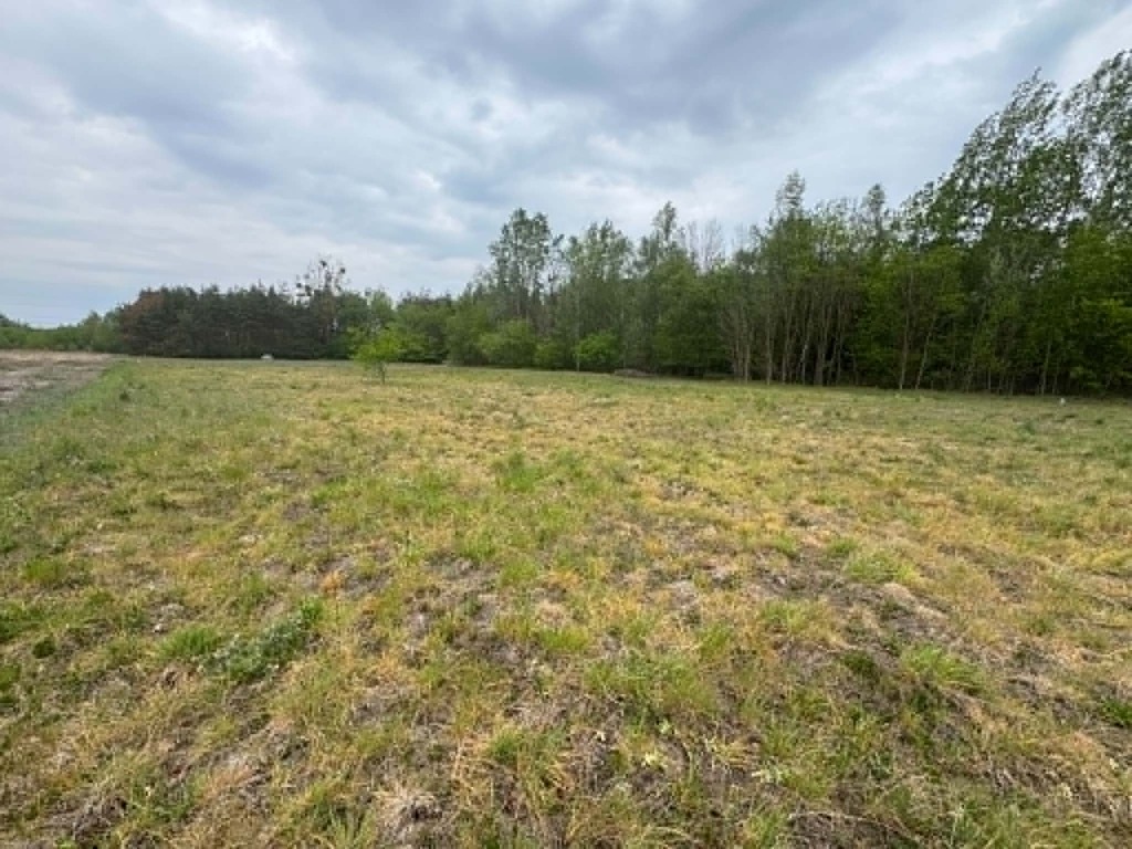 Działka 1661 m² z WZ – dom jed. Maciejowice — zdjęcie 6