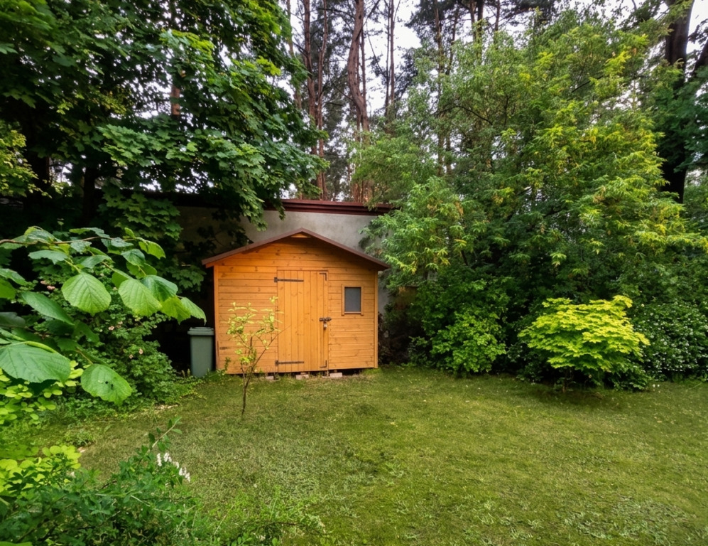 Działka z domkiem letniskowym w otoczeniu lasu — zdjęcie 9
