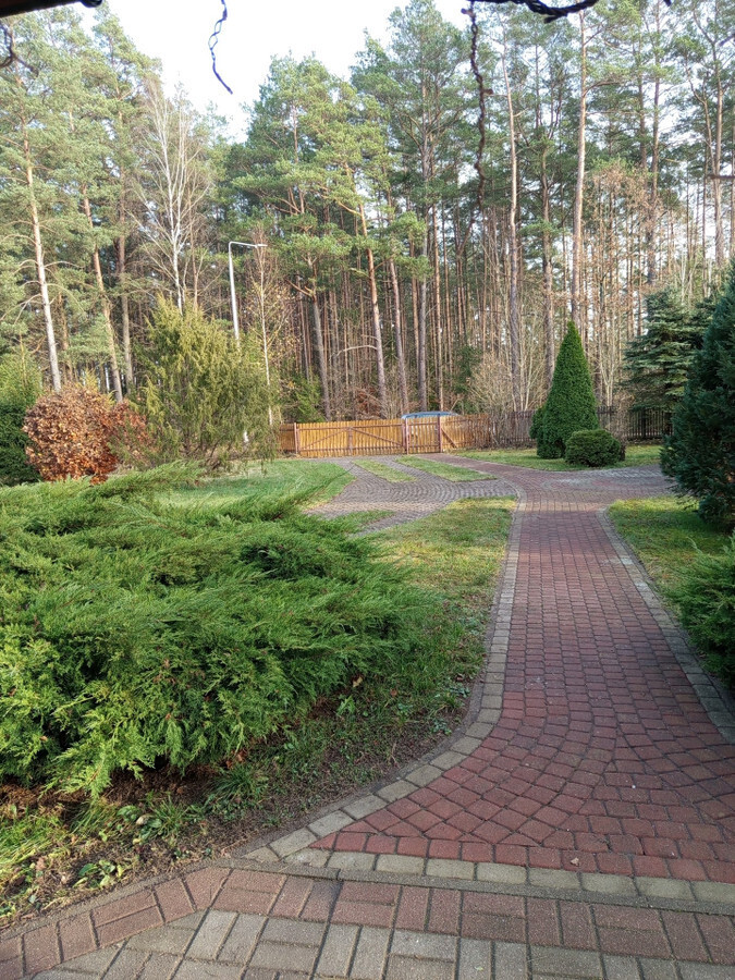 Dom w otoczeniu lasów/ Działka 32 arów — zdjęcie 3