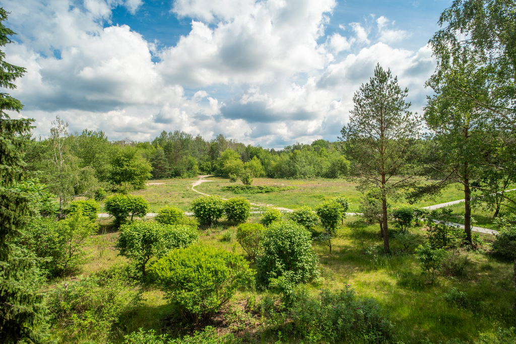 3 pokoje z widokiem na zieleń | 59,53 m² — zdjęcie 9