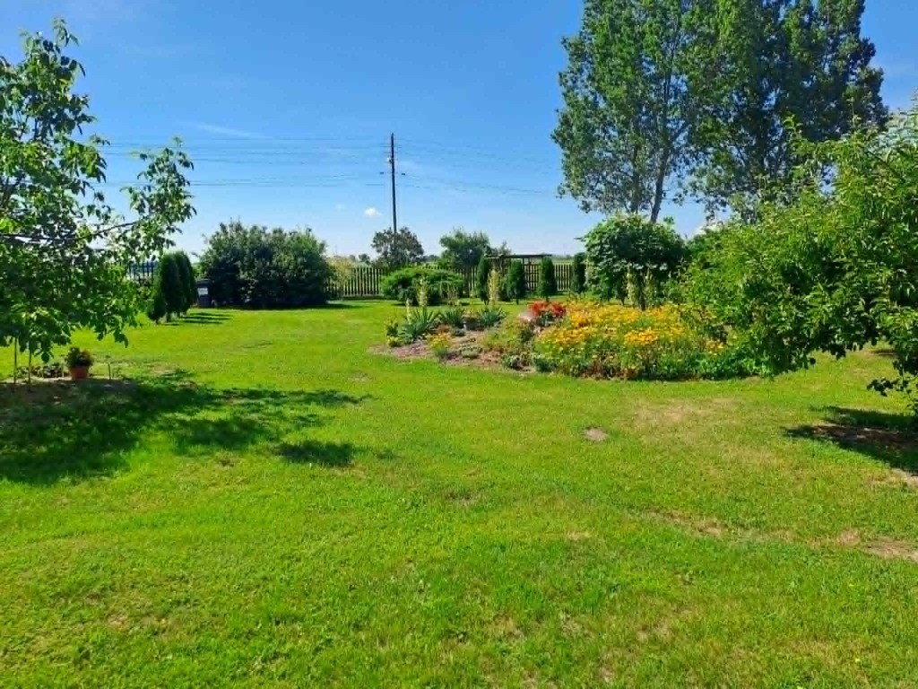 Dom 110m2 z działką 3700 m2 Janinów 4 pokoje — zdjęcie 19