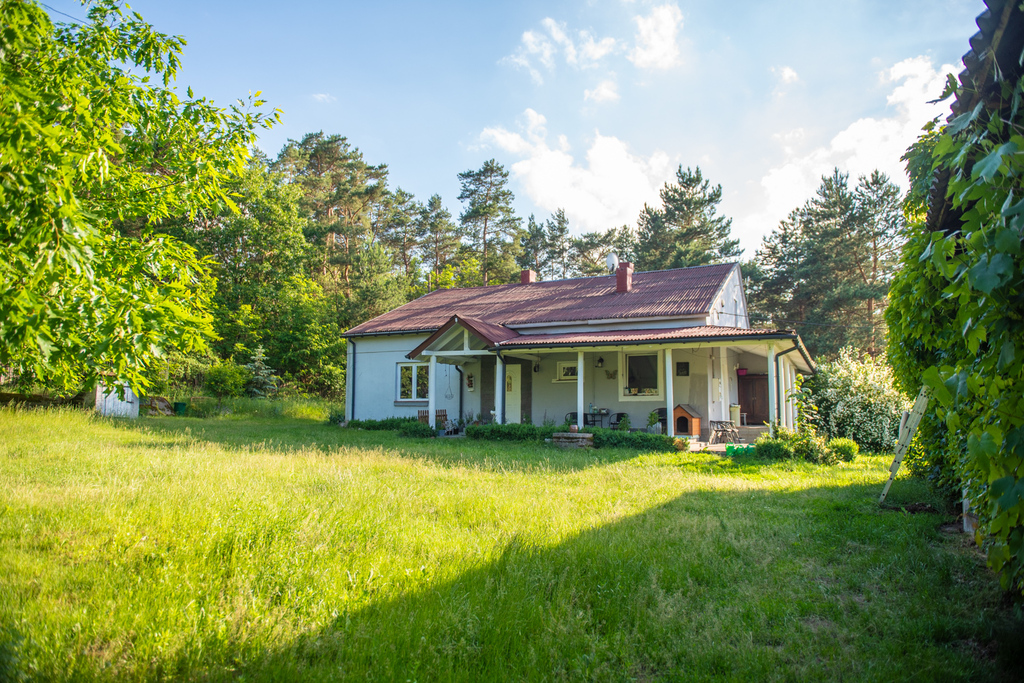 Dom 132 m² + 3416 m² + zabudowania | Witkowice — zdjęcie 3