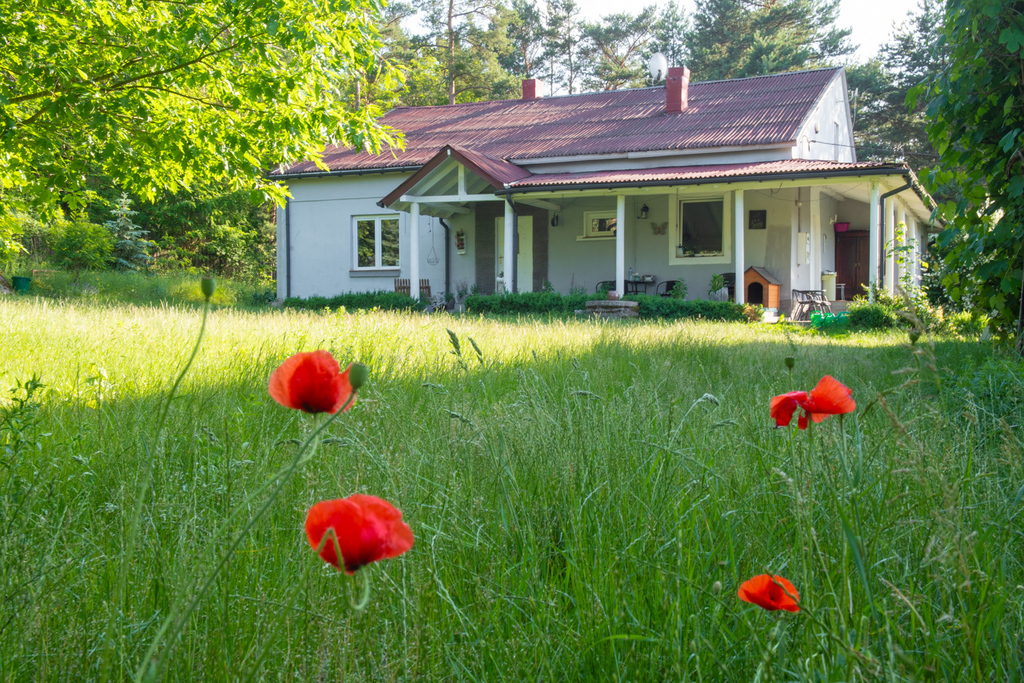 Dom 132 m² + 3416 m² + zabudowania | Witkowice — zdjęcie 19