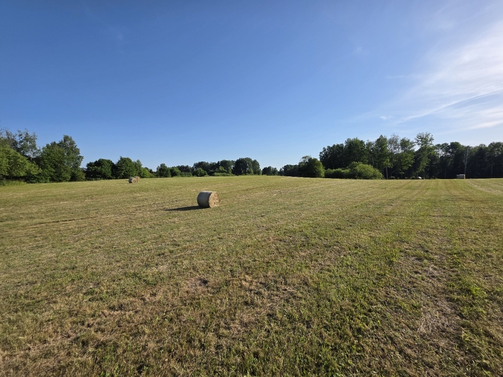 Atrakcyjna działka rolna 1,50 ha –  Butryny
